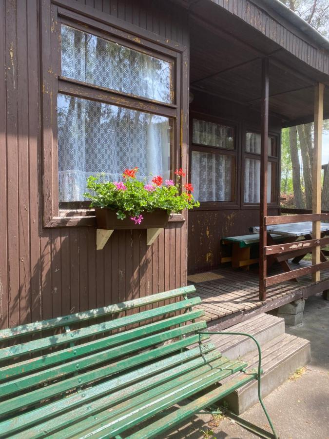 Domki Szumi Las Vila Mrzeżyno Exterior foto