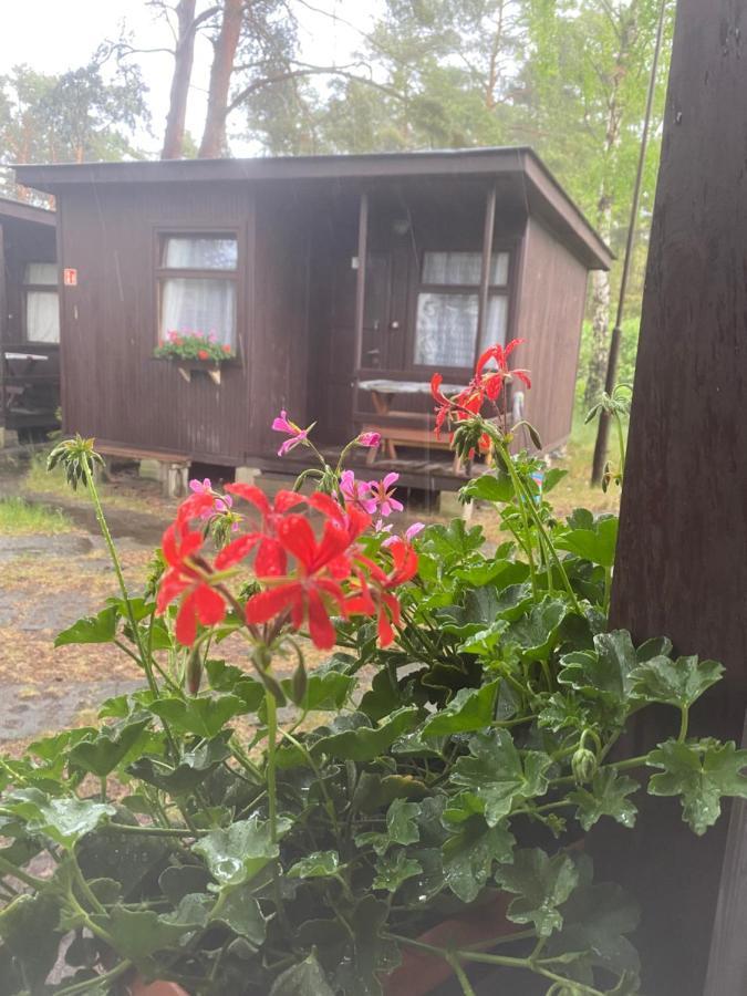 Domki Szumi Las Vila Mrzeżyno Exterior foto